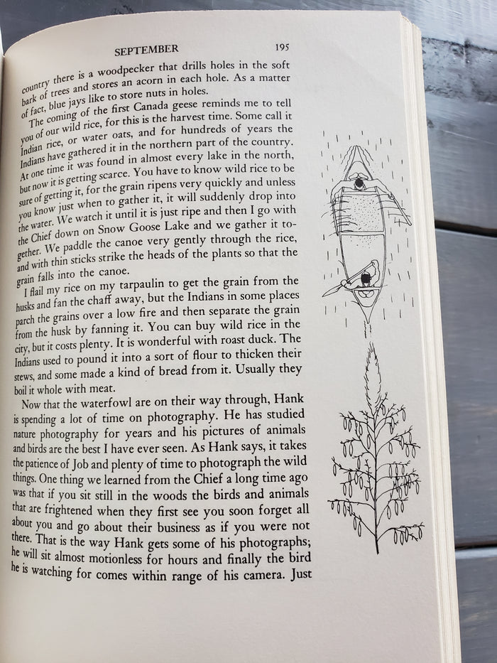 Cache Lake Country Life in the North Woods by John J. Rowlands (1959)