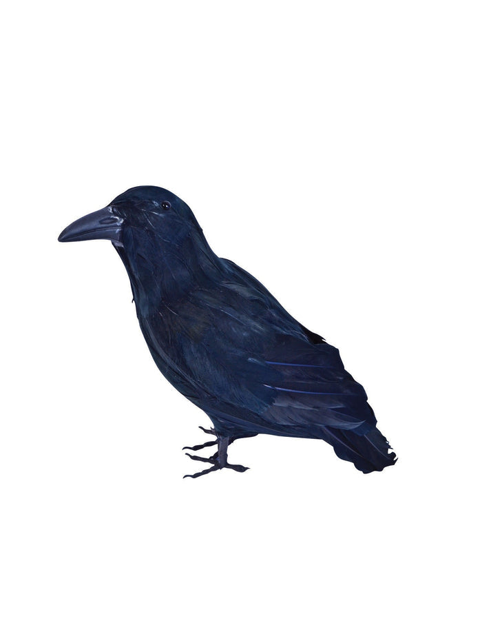 Feather Raven Costume Accessory