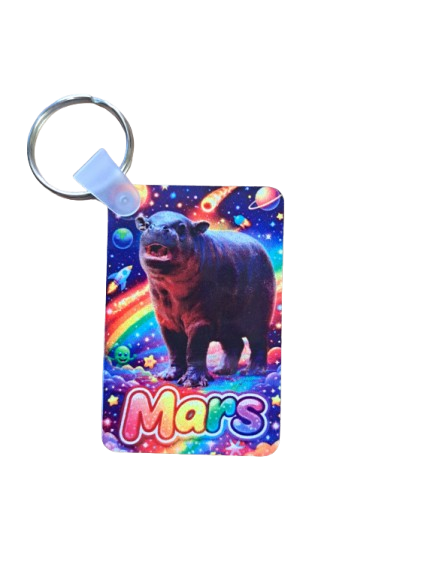 Rainbow Mars Attacks
