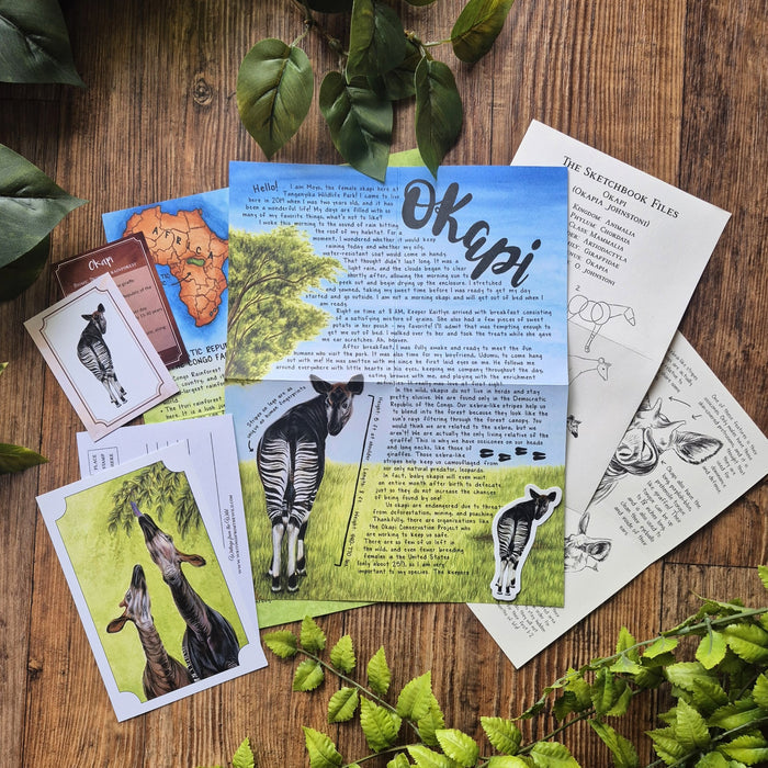 Past Letters- June- Okapi