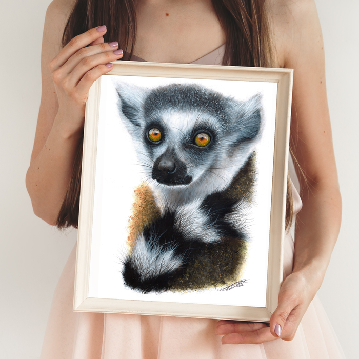 Ring-Tailed Lemur Portrait by Kyle Duca – Digital Download