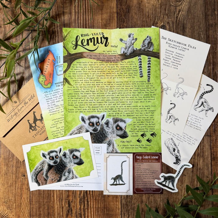 Past Letters- July- Ring-tailed Lemur
