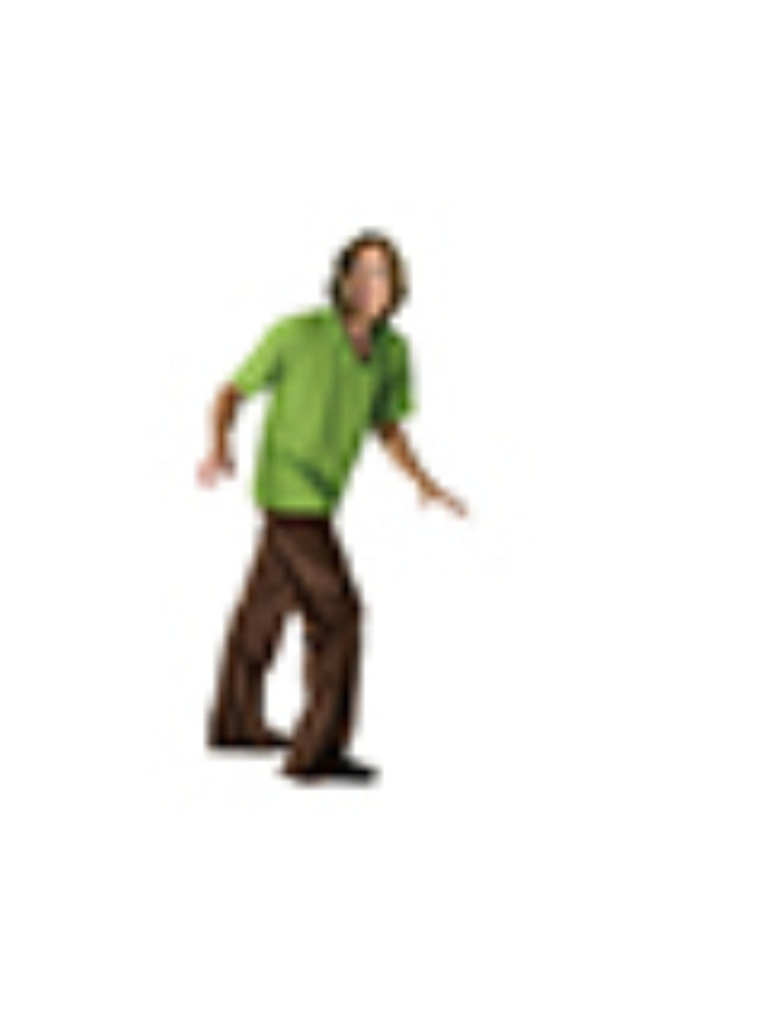 Adult Shaggy Costume