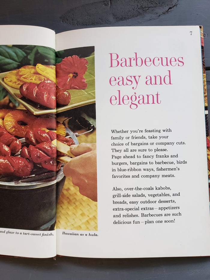 Barbecues and Picnics (1963)