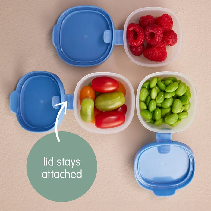 bbox Lunchbox Snack Tubs Set of 3 - Forest