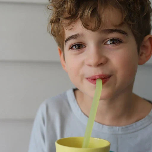 b.box Reusable Silicone Straw Set - Very Berry