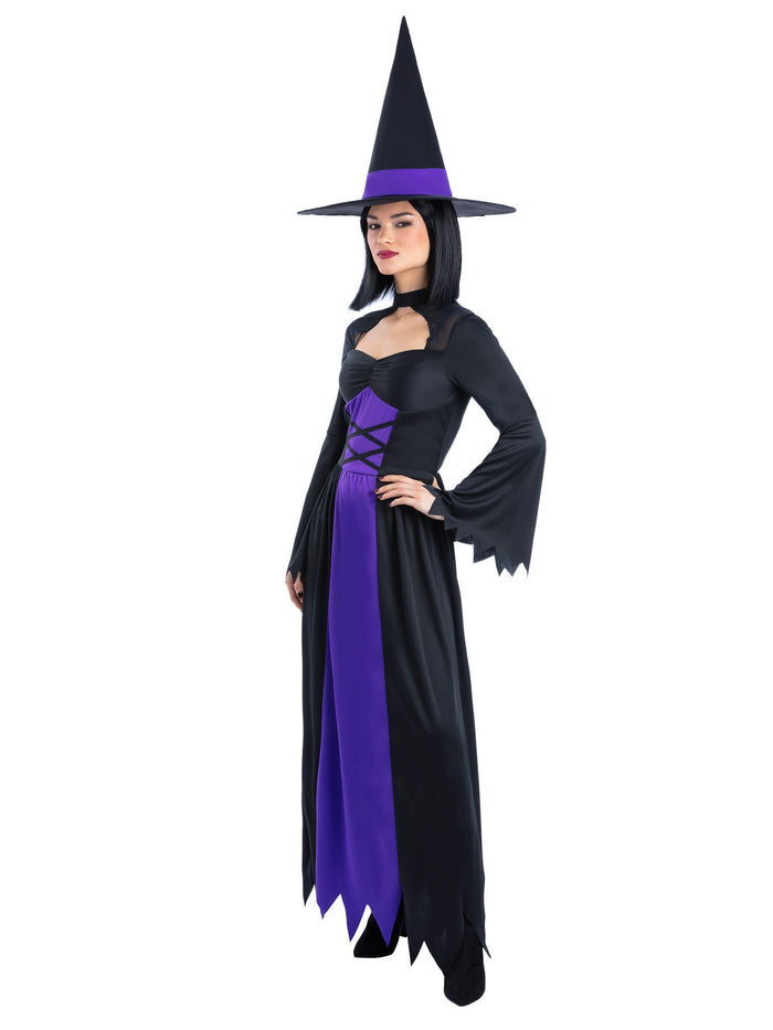 Bewitched Purple Costume