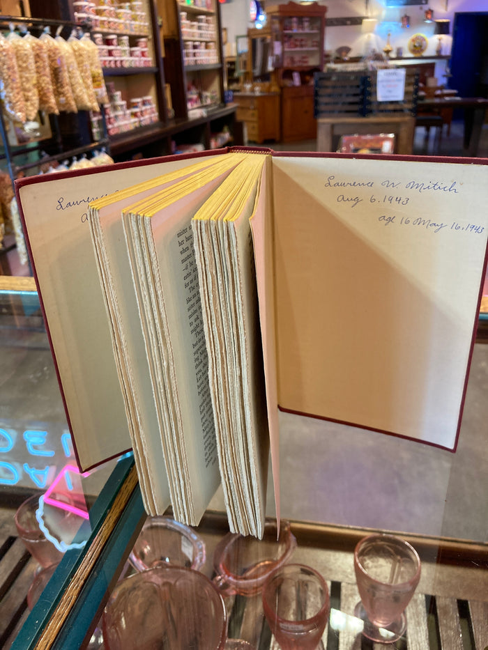 Centennial Summer Book By Albert E. Idell