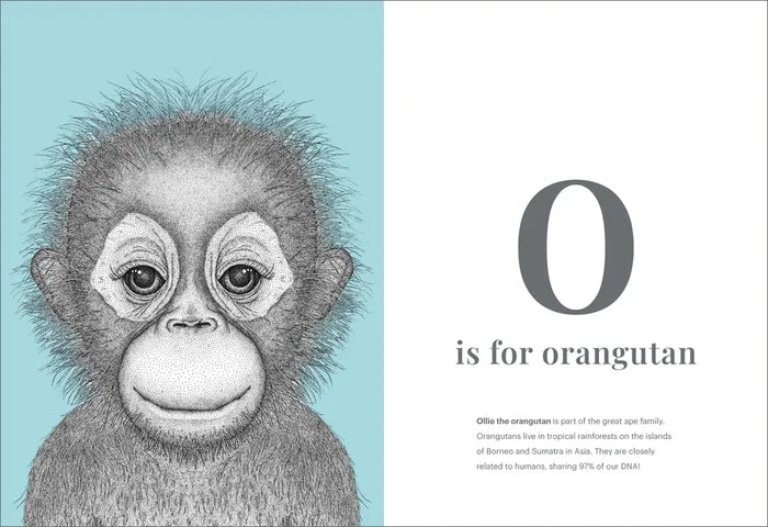 Dots by Donna - The Animal Alphabet Hardcover Book