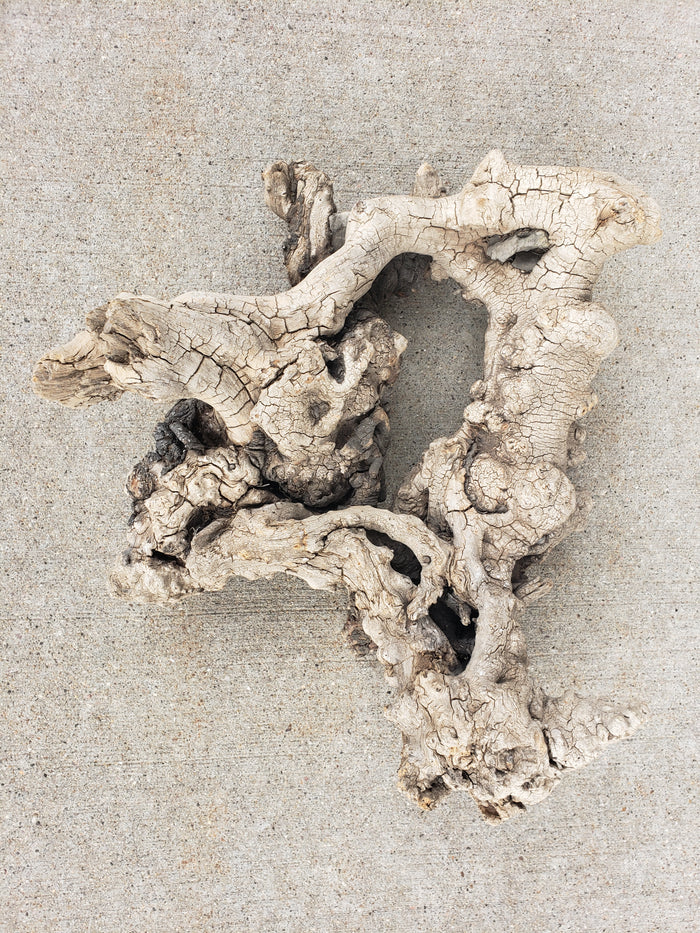 Driftwood sculpture with imbedded rocks