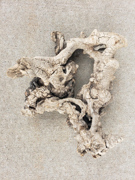 Driftwood sculpture with imbedded rocks