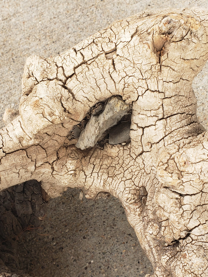 Driftwood sculpture with imbedded rocks