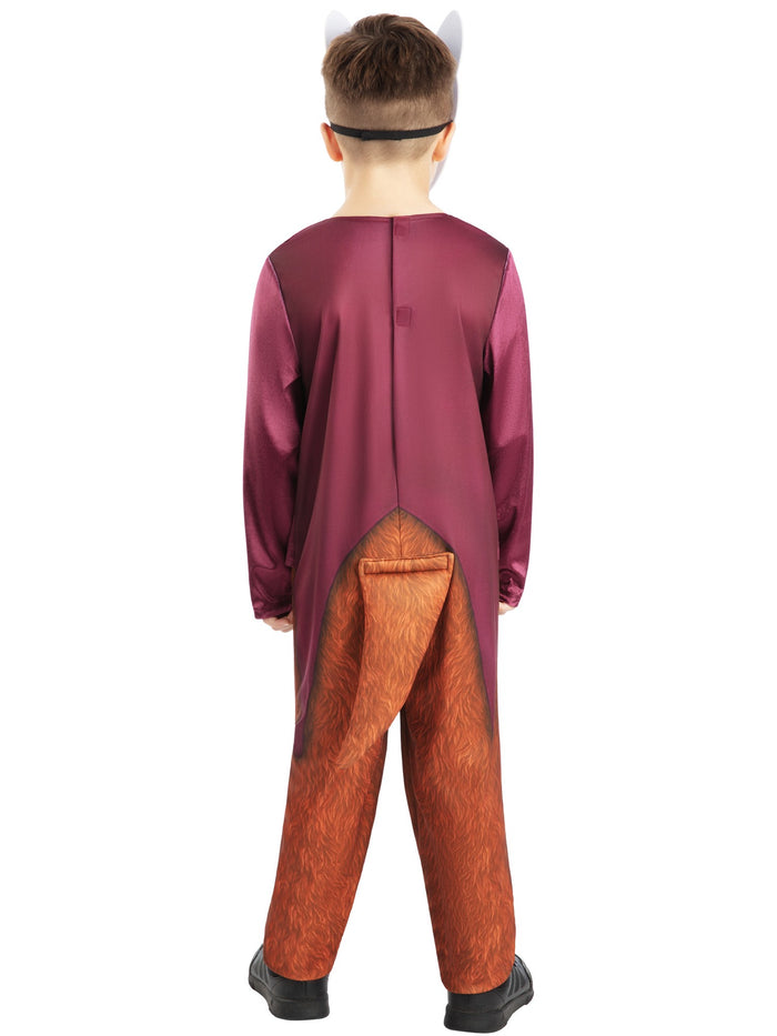 Fantastic Mr. Fox Roald Dahl Costume