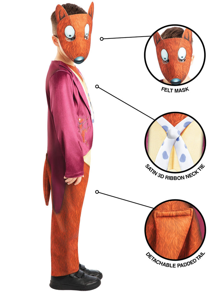 Fantastic Mr. Fox Roald Dahl Costume