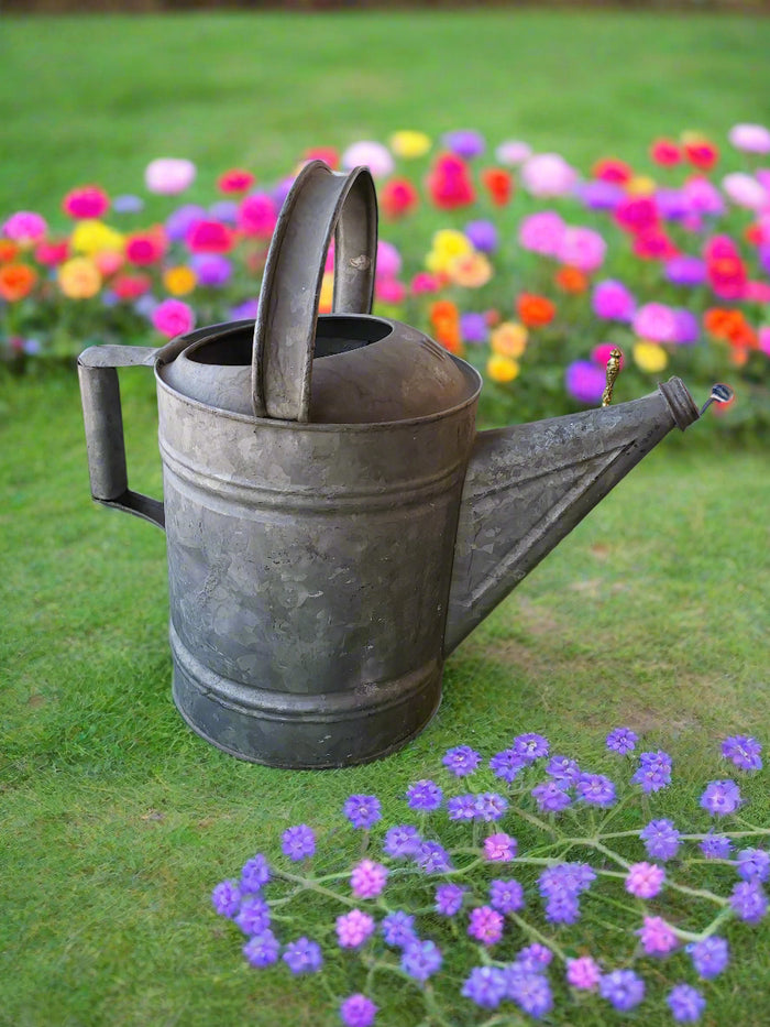 Galvanized watering can