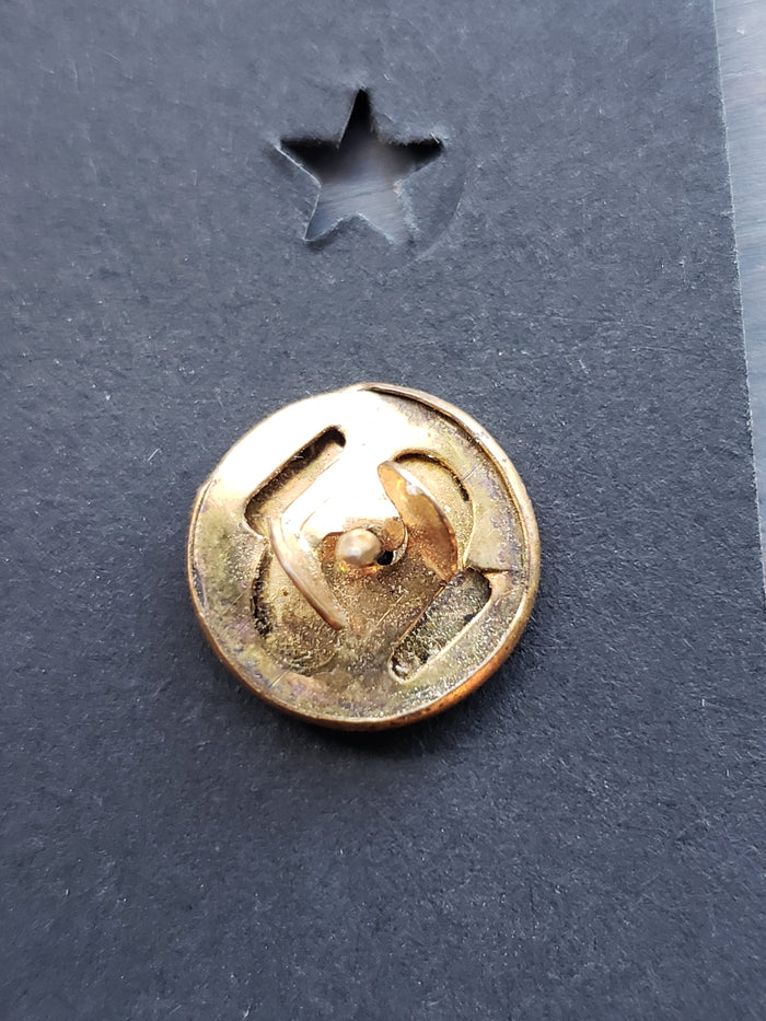 Golden Horseshoes lapel pin