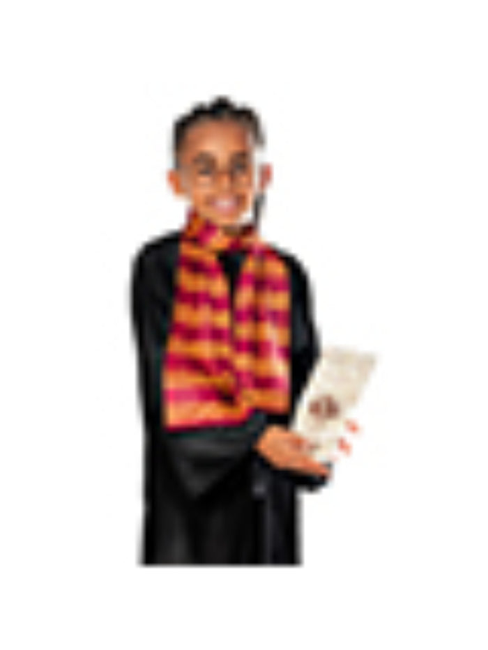 Harry Potter Accessory