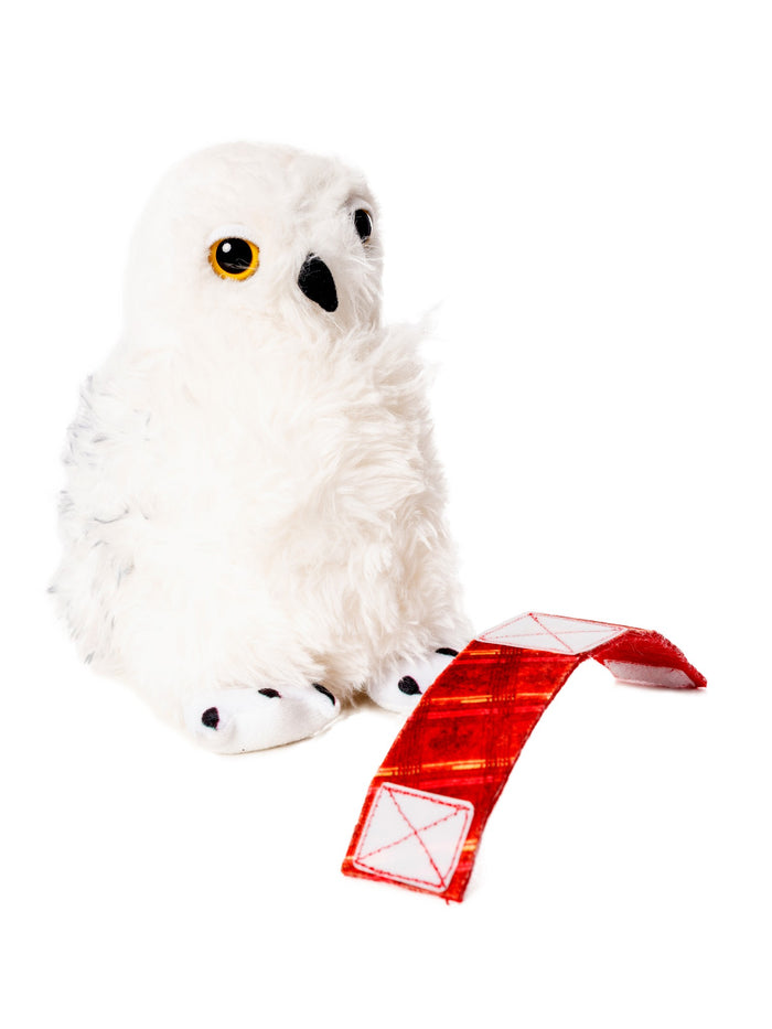 Harry Potter Hedwig