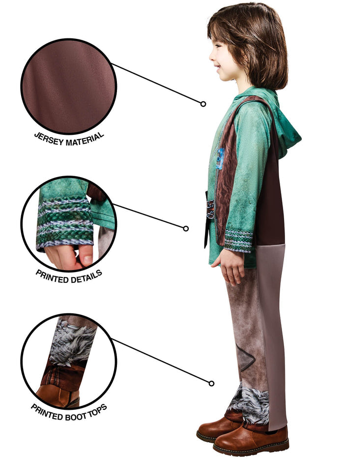 Hiccup Kids Costume