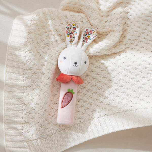 Hugglies Bunny Squeaker Toy