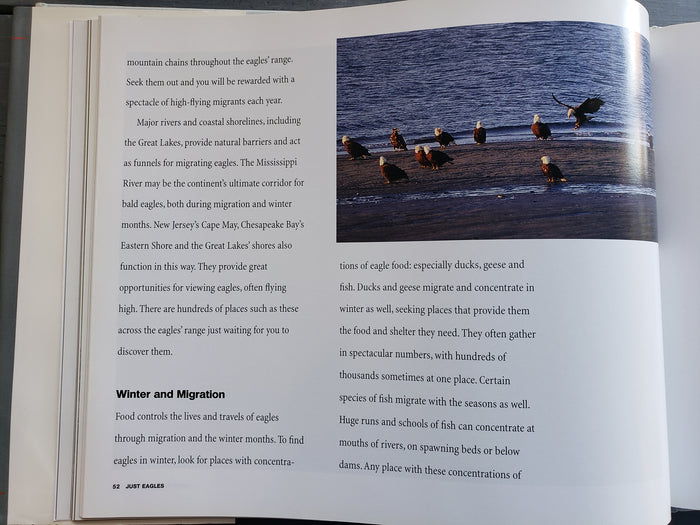 Just Eagles by Alan Hutchinson