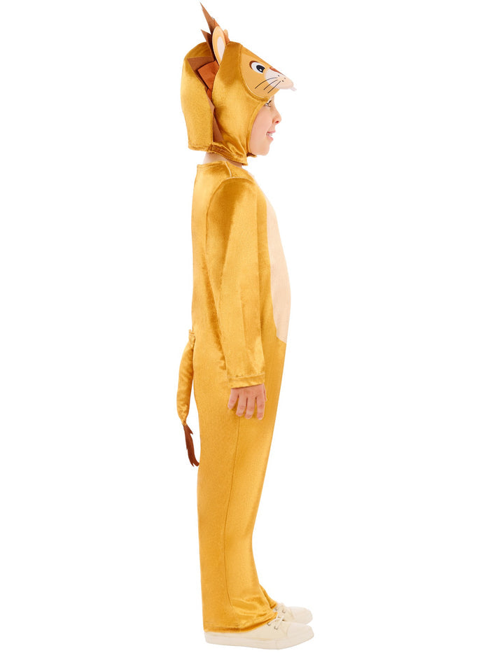 Kids Lion Costume