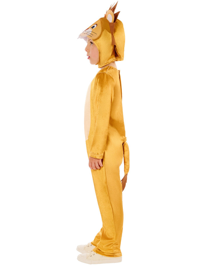 Kids Lion Costume