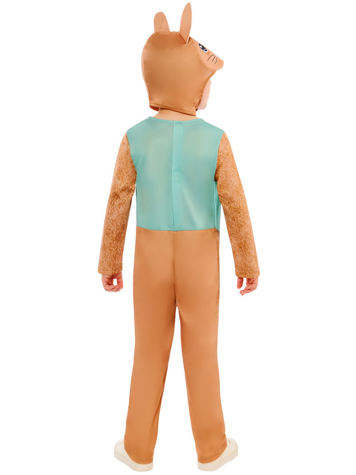 Kids Rabbit Costume