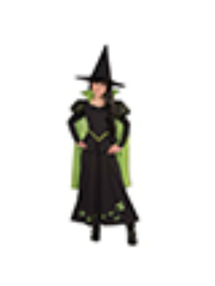 Kids Wicked Witch Of The West Costume