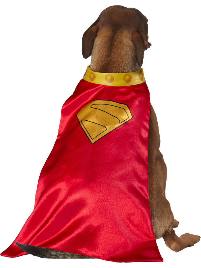 Krypto Pet Cape and Collar Pet Costume