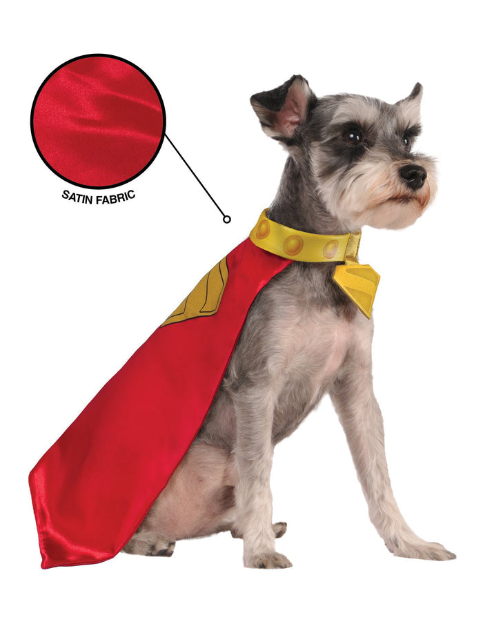 Krypto Pet Cape and Collar Pet Costume