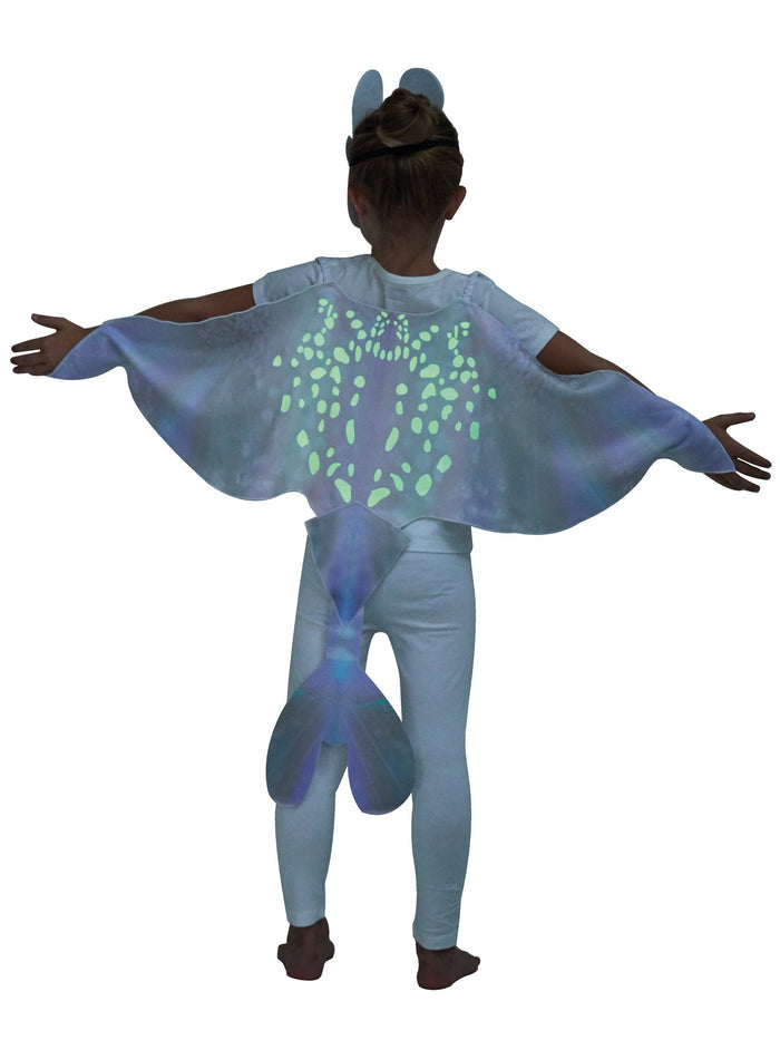 Light Fury Accessory Set From How To Train Your Dragon: The Hidden World