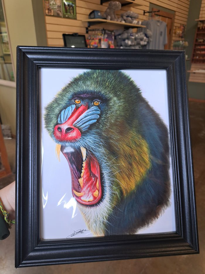 Mandrill Portrait by Kyle Duca – Digital Download