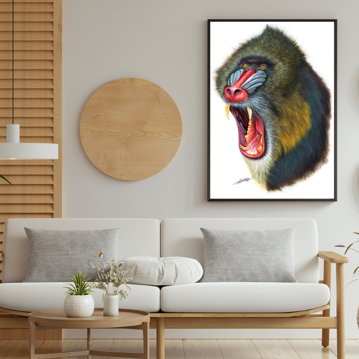 Mandrill Portrait by Kyle Duca – Digital Download