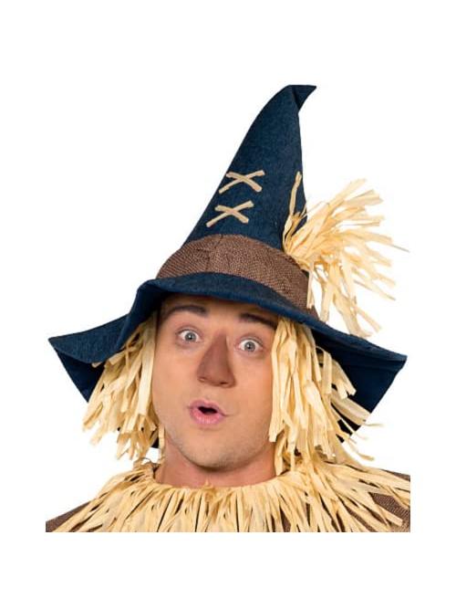Mr. Scarecrow Costume with Pointed Hat