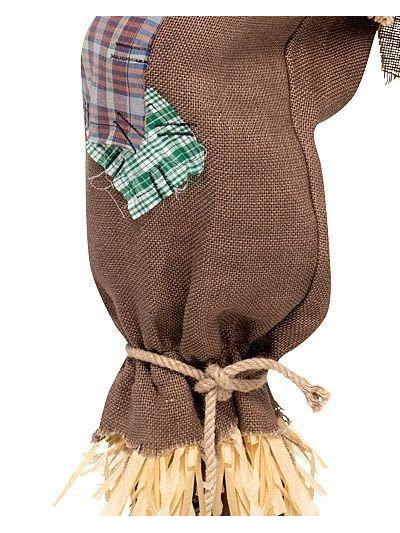 Mr. Scarecrow Costume with Pointed Hat