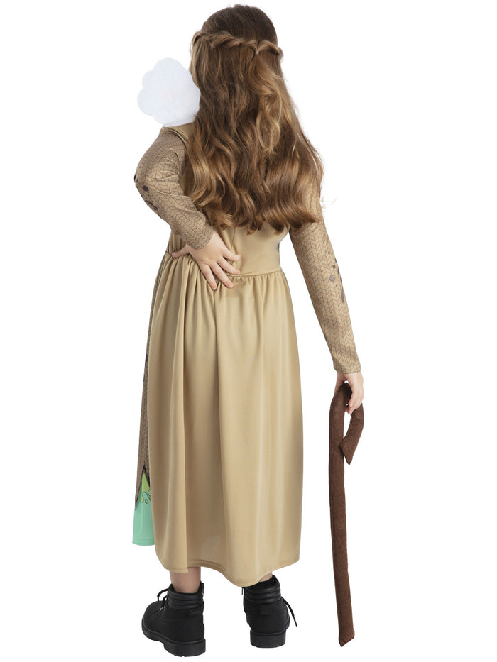 Mrs. Twit  Roald Dahl Costume