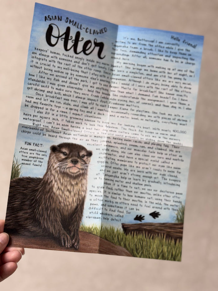 Past Letters - April - Buttercup