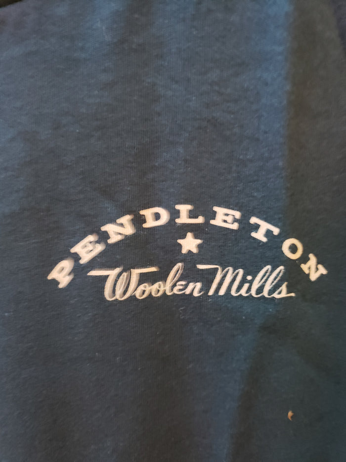Pendleton Eagle Graphic Tee in Atlantic/ Multi