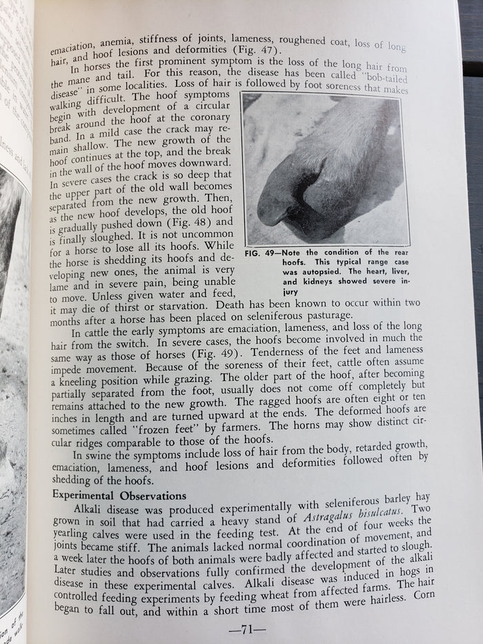 Poisonous Plants and Livestock Poisoning (1953)
