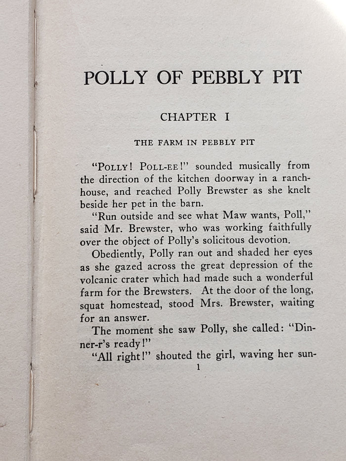 Polly of Pebbly Pit (1922) by Lillian Elizabeth Roy