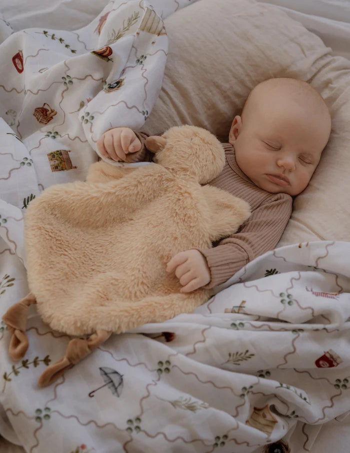 Pop Ya Tot Quacks the Comforter Toy