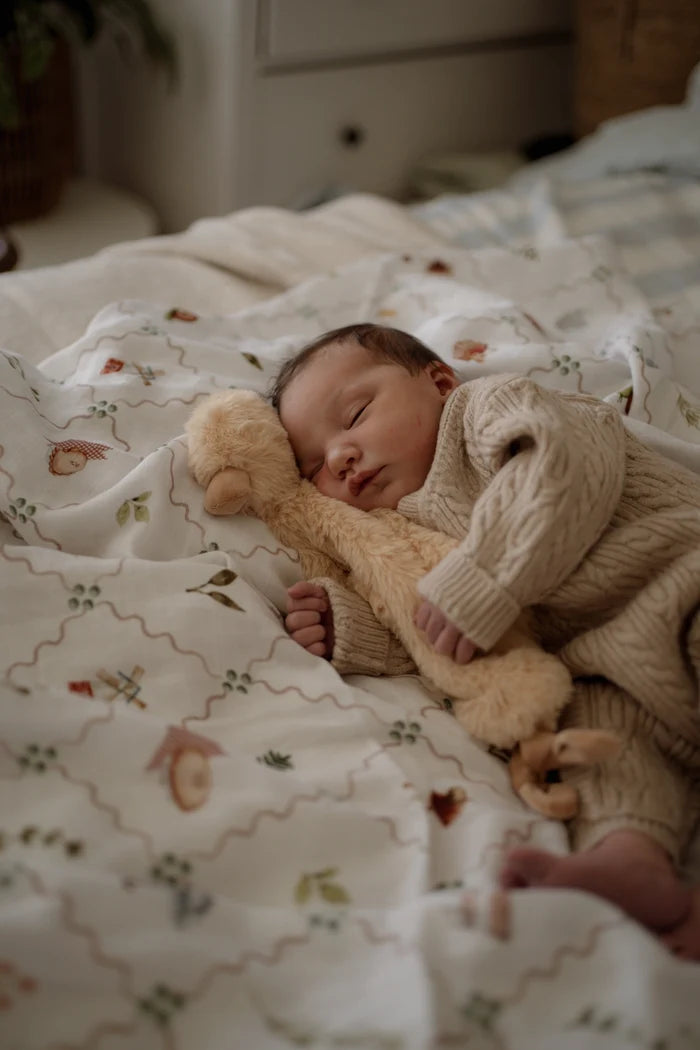 Pop Ya Tot Quacks the Comforter Toy
