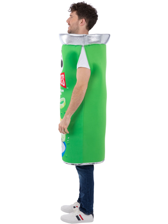 PringlesÂ® Cream Cheese & Chive Can Costume