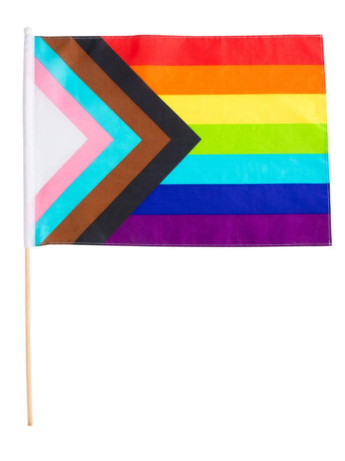 Progressive Rainbow Flag 48cm x 60cm