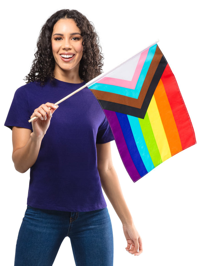 Progressive Rainbow Flag 48cm x 60cm