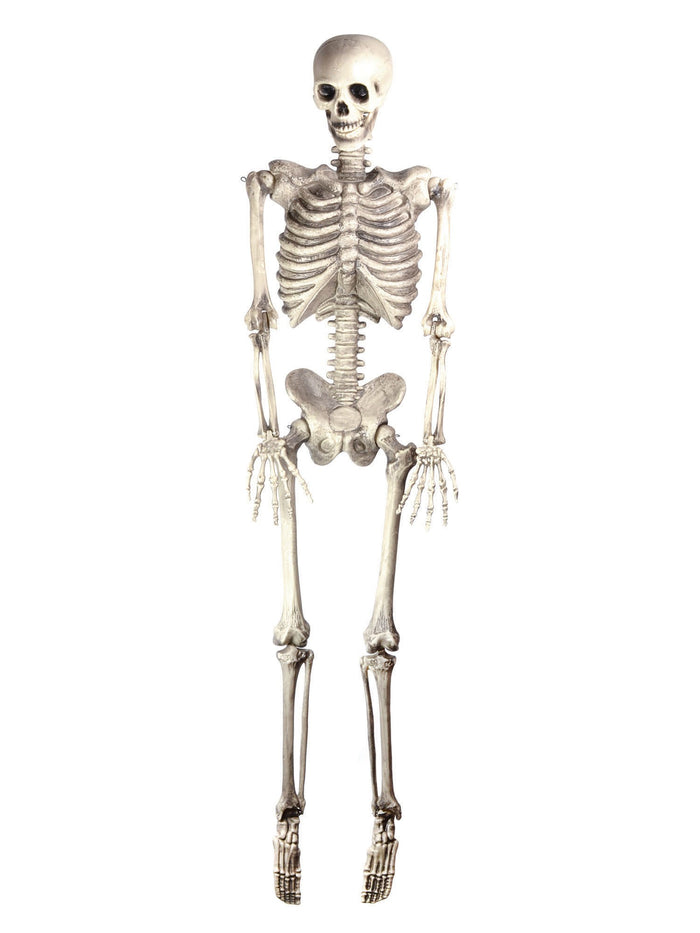 Skeleton Hanging Costume Accessory