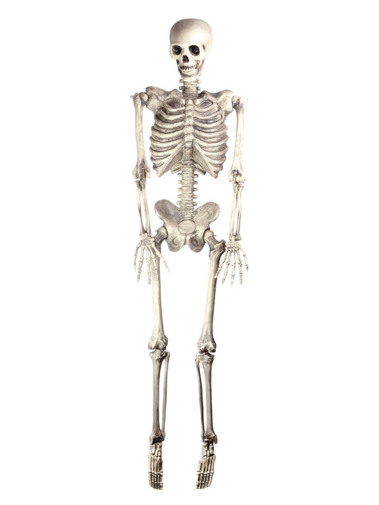 Skeleton Hanging Costume Accessory