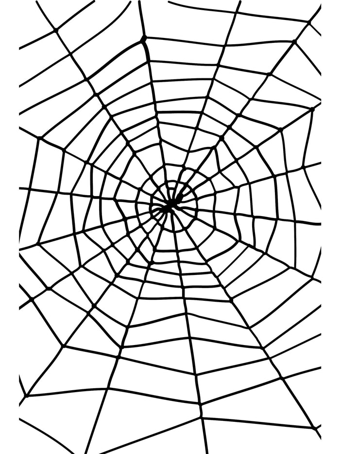 Spider & Spiders Web