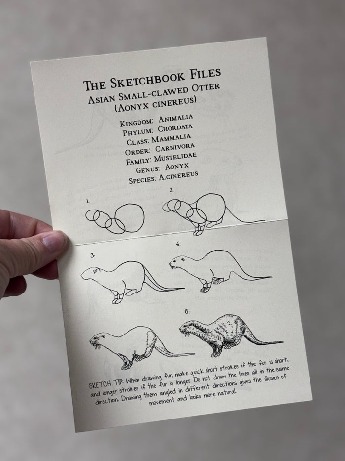 Tanganyika and Writings From the Wild Mail Club Collab - SUBSCRIPTION